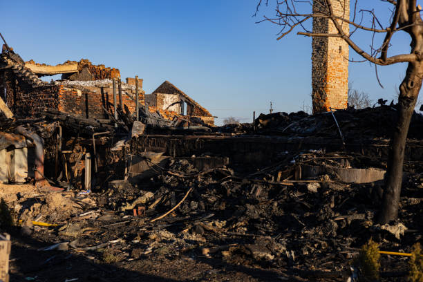 Reliable Content Restoration contractor in Franklin Park, FL by Fire Damage Flint